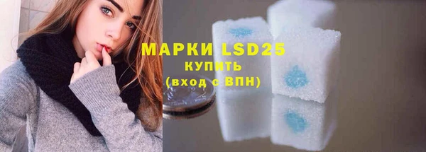 мдпв Кукмор