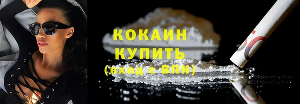 мдпв Кукмор