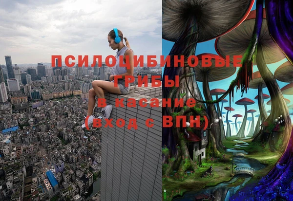 спиды Кулебаки