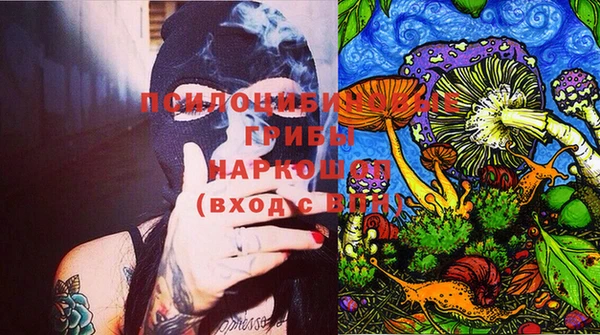 мдпв Кукмор