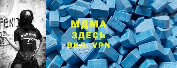 мдпв Елабуга