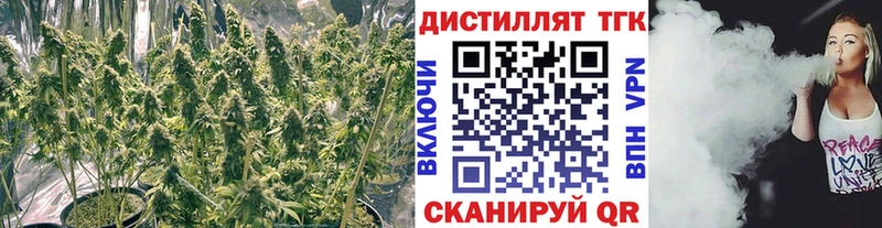 Дистиллят ТГК вейп ссылка на мегу сайт Дорогобуж