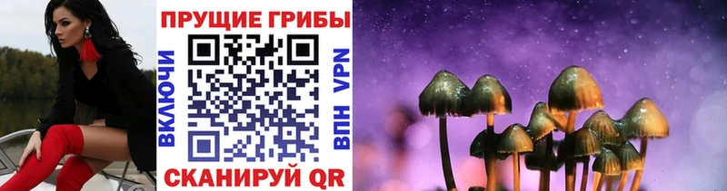 мориарти какой сайт  kraken ССЫЛКА  Псилоцибиновые грибы Magic Shrooms  Дорогобуж  наркота 